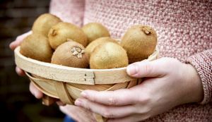 Van Amerongen Stockage du kiwi