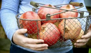 Van Amerongen Stockage de grenades