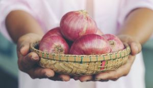 Van Amerongen Zwiebellagerung