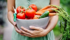 Van Amerongen Stockage des légumes